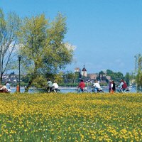 Arbon